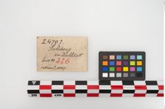 Etikett zu Bronzerollenkopfnadel (NHMW-PRAE-024707)